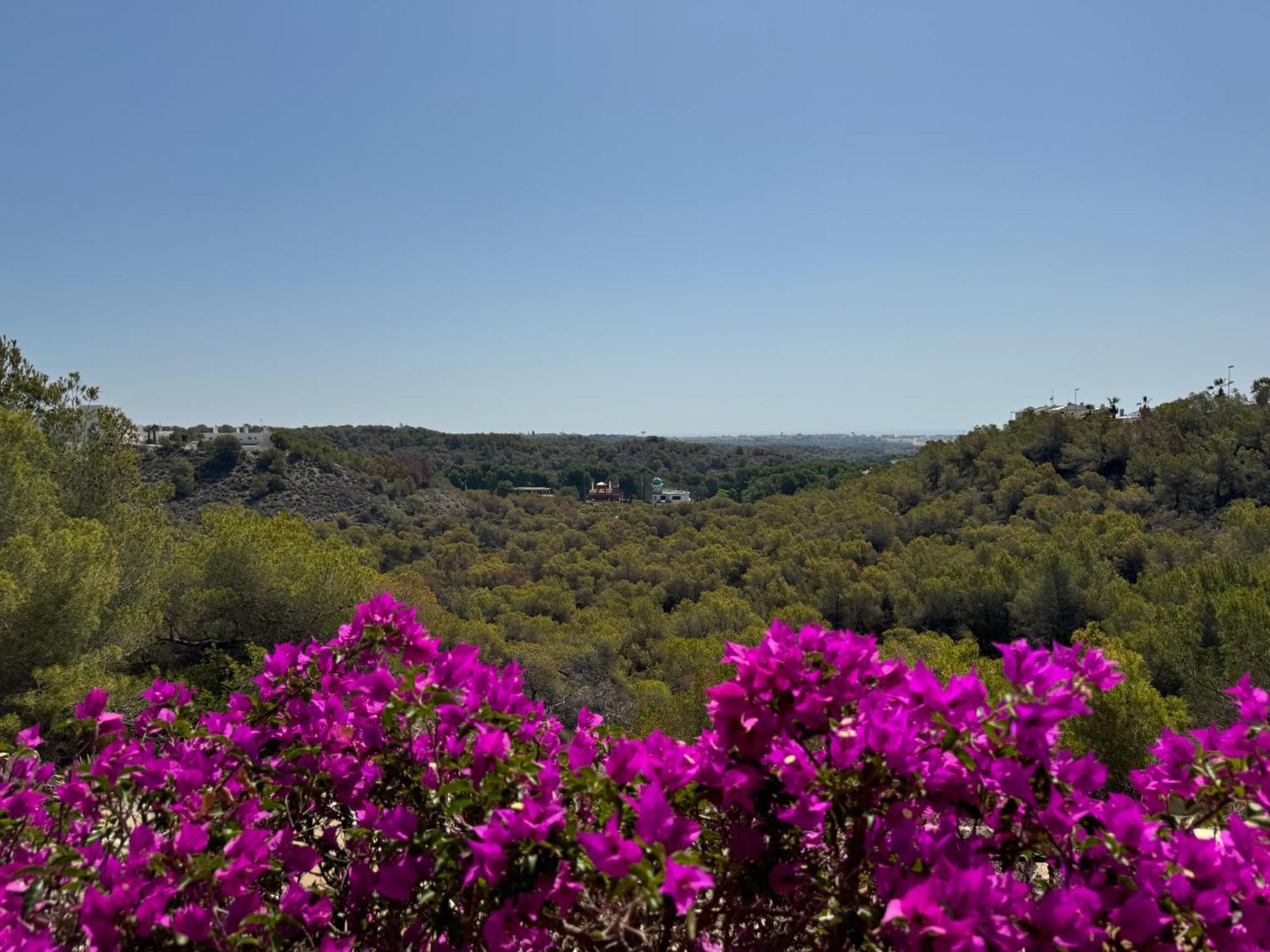Orihuela - Las Ramblas - Casa Pino Dehesa de Campoamor  Kültér fotó